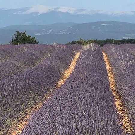 Provence Luberon Bonnieux Location Gite Chez Marcelle Exterior photo